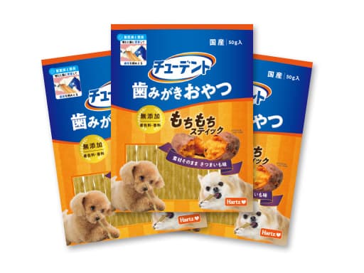 ハーツ 歯みがきケアセット